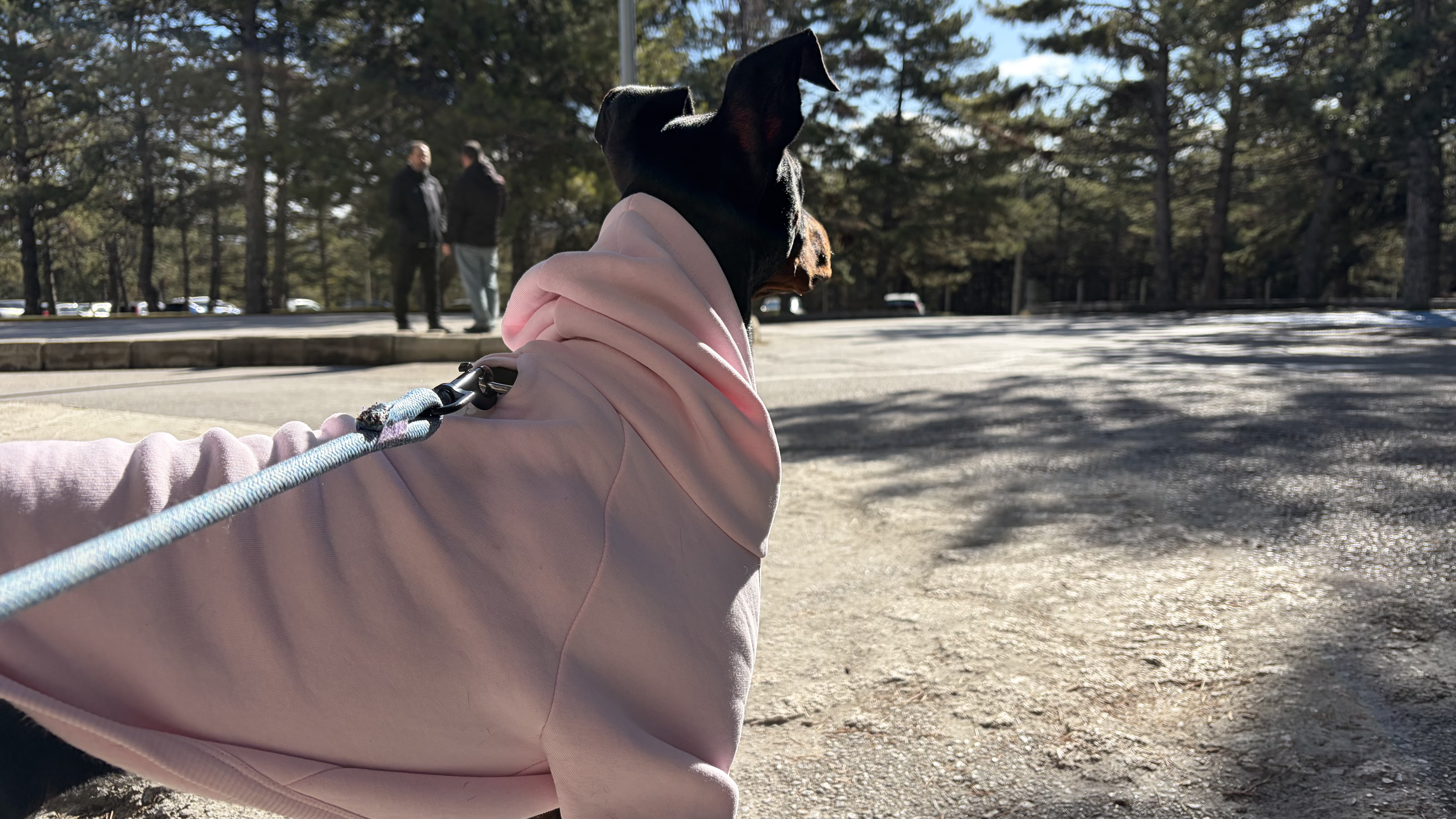 Bold, Vakıf Building